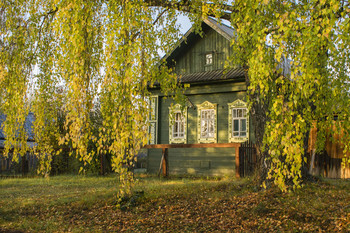 Autumn in the village / ***