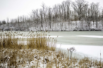 Winters Day at Park / This winters day at the park was really cold