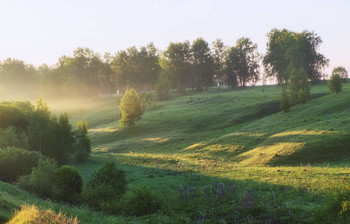 Spring morning / ***