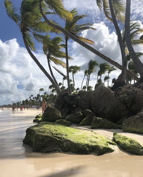 Somewhere far away ... / ***