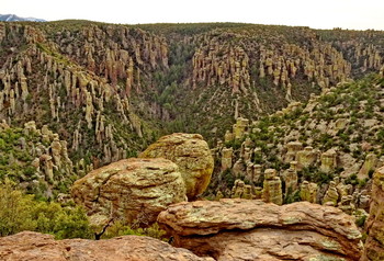  / Chiricahua National Monument, Arizona, USA