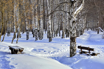 Birch Grove / ***