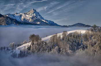 Winter / Aufgenommen am Sonnberg in Österreich früh morgens
