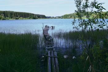 On the pond / ***