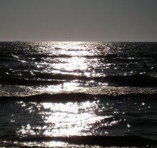 Light / ***