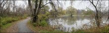 deciduous tow / .....