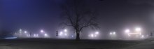 Night fog-frog / ***
