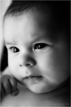 Baby / .....