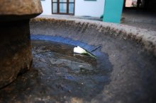 Fountain / ***