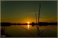 Warm sunset / ***