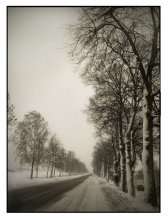 On the road in winter / ...