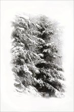 Such a snowfall ... / ***