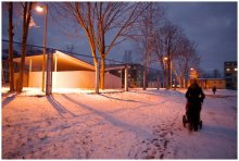 Winter Walk / HDR