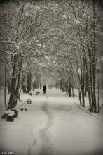 black and white winter / ***