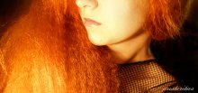 ginger / ...