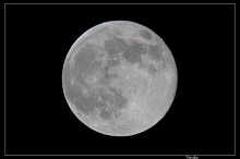 Night werewolves and romance ... / ***