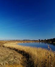 my edge ... / ------