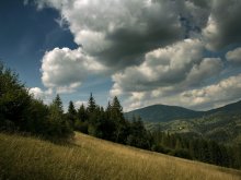 of Carpathian Forest / ------------------