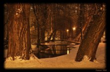 Night in the Park / ***