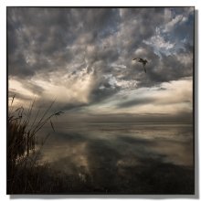 At the dawn of bliss / ***