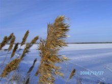 Fall greetings / ***