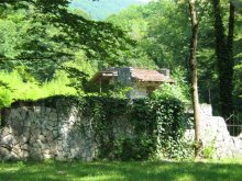 The Lost in greenery / ***