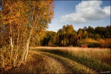 Golf breathed in the autumn / ***