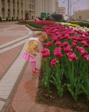 Girl and the tulips / ***