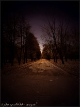 Where will life / ***