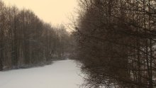 Winter / ***