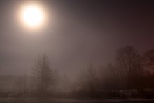 Night Fog / ***