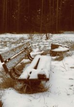 In the old park / *****