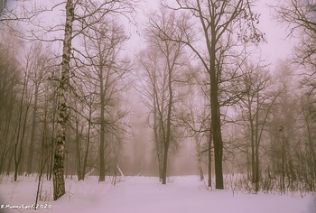 Winter fog / ...