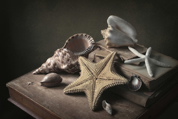 Bermuda Triangle / 2020