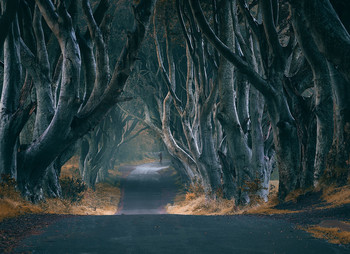 Scary tales / ***
