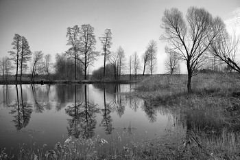 Spring Pond / ***