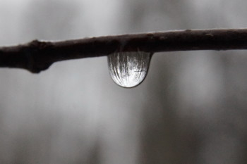 World in a drop of water / ***