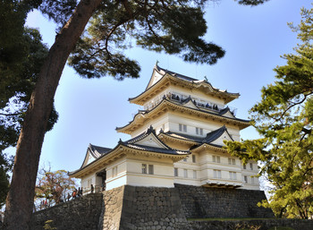 From time immemorial / ...