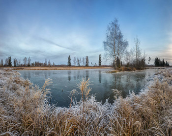 Frosty morning. / ***