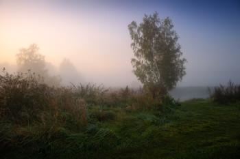 autumn mist / ***