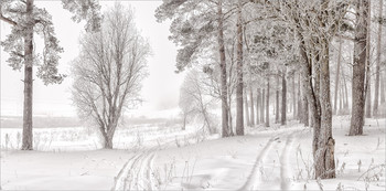 March / ...