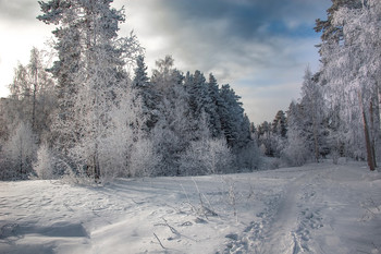 Winter landscape / ***