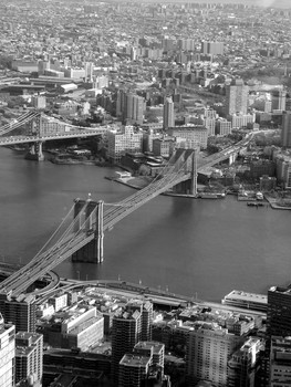 The Brooklyn Bridge / ***