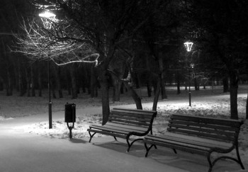 winter / ***