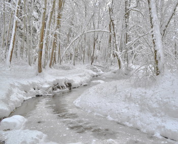 After snowfall / ***