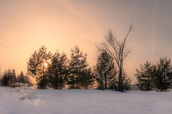 in the evening / ***