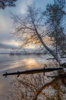 Toward the Light / ***