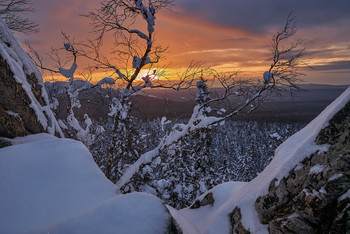 At dawn / ***