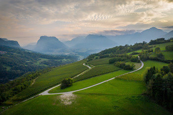 Road to the mountains / ***