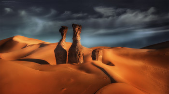 Sahara / ***